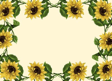 15 Cheery Sunflower Borders - Kitty Baby Love