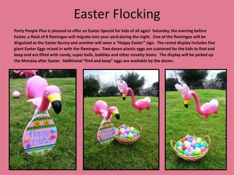 Flamingo Flocking Portfolio Ppt