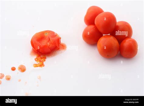 squashed tomato high resolution stock photography  images alamy