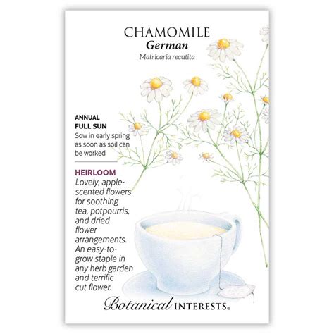 German Chamomile Seeds Herbs Botanical Interests