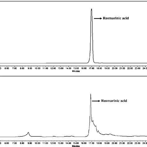 HPLC Chromatogram Of Rosmarinic Acid A Standard B Leaves Of C