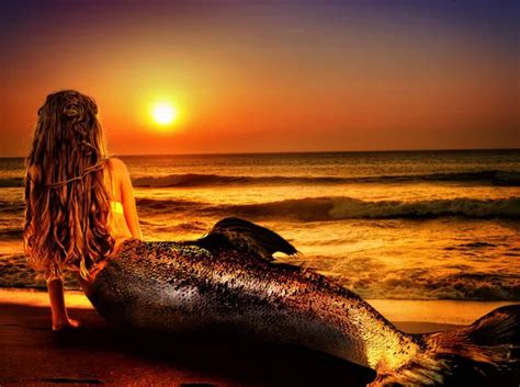 ᐈ A Mermaids Stock Pictures Royalty Free Mermaid Photos Download On