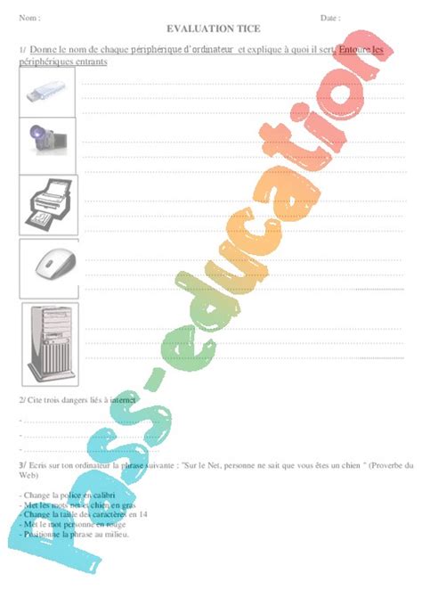 Evaluation Sciences Et Technologie CE2 Cycle 2 Bilan Et Controle