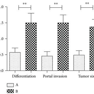 Relative Expression Level Of MiRNA 542 3p In HCC Tissue And Adjacent