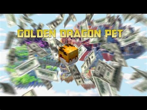 Getting GOLDEN DRAGON PET In Hypixel Skyblock YouTube