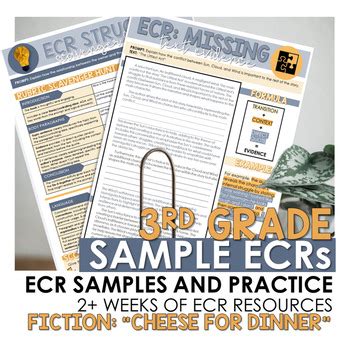 3rd Grade STAAR ECR Extended Constructed Response Samples Practice