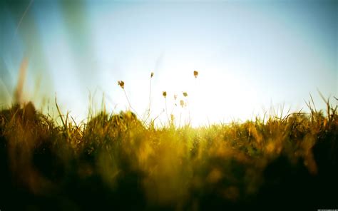 Wallpaper Sunlight Depth Of Field Sunset Nature Reflection Sky