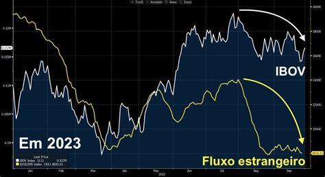 Ações Que Mais Caíram Em Setembro Mglu3 Bhia3 E Pcar3 Estão Entre