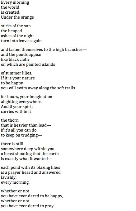 Morning Poem by Mary Oliver | Morning poem, Mary oliver, Poems