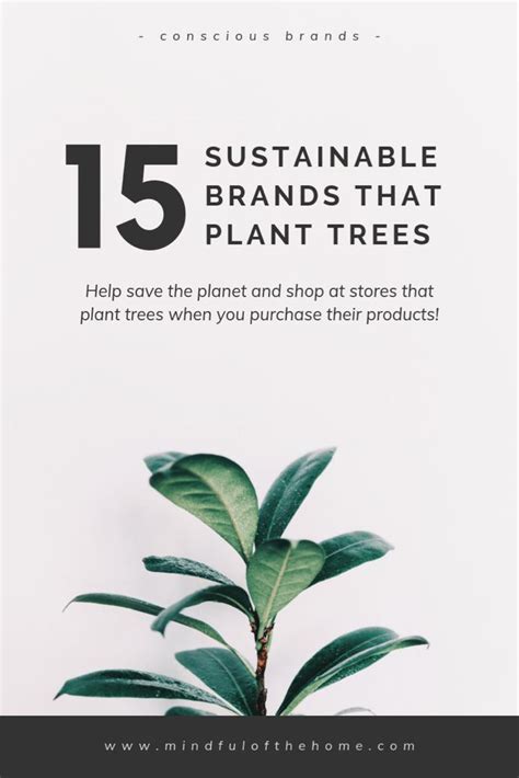 15 Eco Brands That Plant Trees When You Buy A Product Trees To Plant