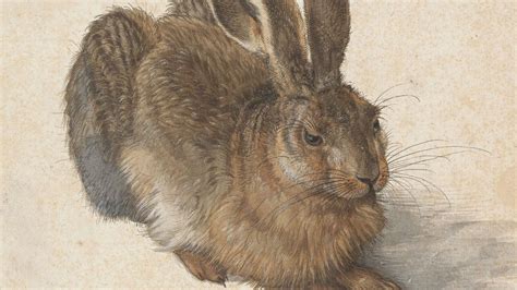 Albrecht Dürer: The painter with 'a magical touch' - BBC Culture