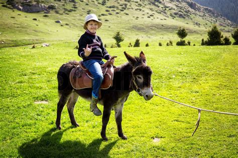 Boy rides a donkey | Stock image | Colourbox