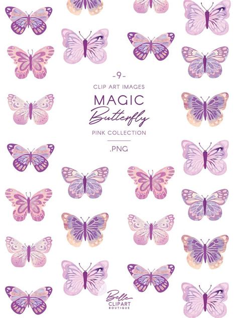 Butterfly Illustration Purple Butterfly Cartoon - Butterfly Mania