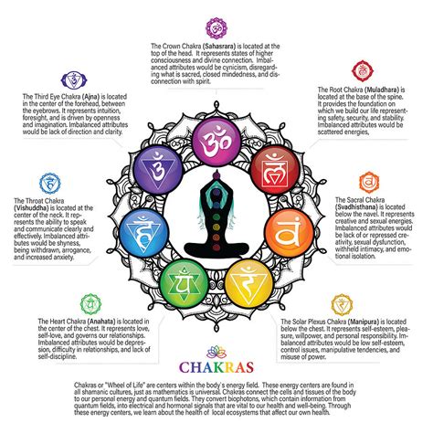 Chakras Wheel Poster 85 WBG Digital Art By Serena King Pixels