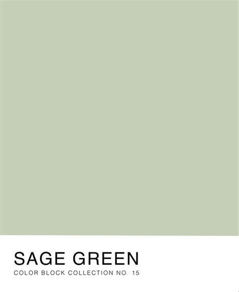 Sage Green Color Block Collection No 15