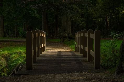 Puente Parque Oto O Madera Hierba Naturaleza Al Aire Libre