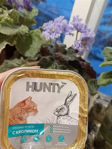 Корм для кошек Hunty Кусочки в желе с кроликом | отзывы