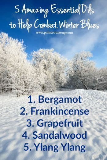 5 Amazing Essential Oils To Help Combat Winter Blues Essential Oils Herbs Essential Oil