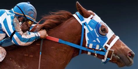 Secretariat Summary, Latest News, Trailer, Cast, Where to Watch and More