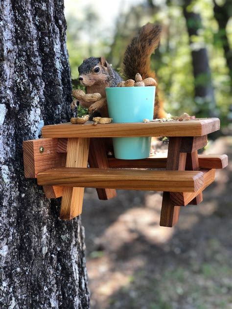 Squirrel Picnic Table Squirrel Feeder Squirrel Feeders Squirrel