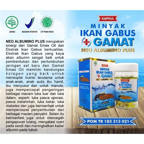 Jual Minyak Ikan Gabus Plus Gamat Neo Albumin Plus 60 Kapsul