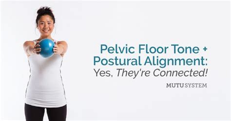 Pelvic Floor Your Guide From Pregnancy To Postpartum Pelvic Floor