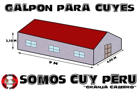 UbicaciÓn Y DiseÑo De Galpones Para Cuyes Somos Cuy Peru