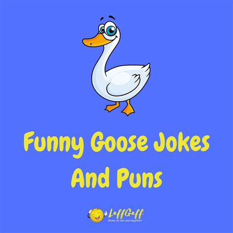 Hilarious Duck Jokes And Puns To Quack You Up Laffgaff