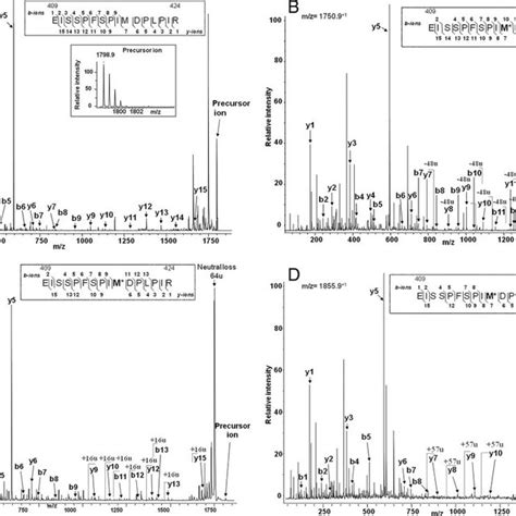 Maldi Toftof Msms Spectra Observed In Caphplc Fractions Of A Tryptic