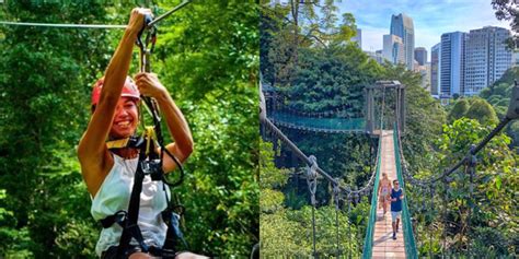 Canopy Walk Di Malaysia Yang Wajib Anda Kunjungi Kool