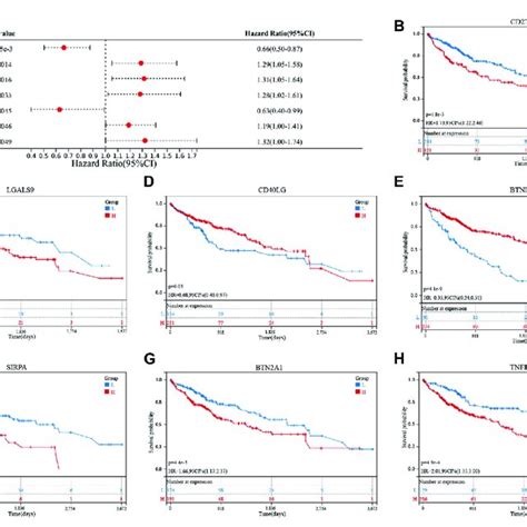 Screening Of Cuproptosis Related Immune Checkpoint Genes ICGs Related