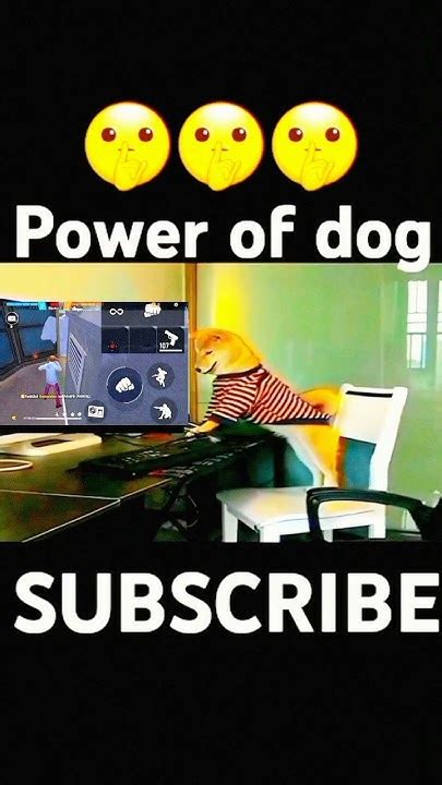 Power Of Dog 🐶🐕🐶🐶garenafreefireyoutubeshort Funnymoment Trending