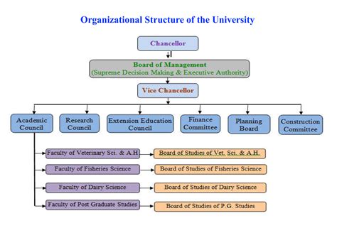 University Hierarchy Structure