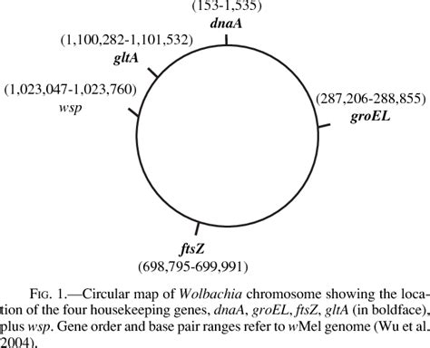 Figure 1 From Widespread Recombination Throughout Wolbachia Genomes