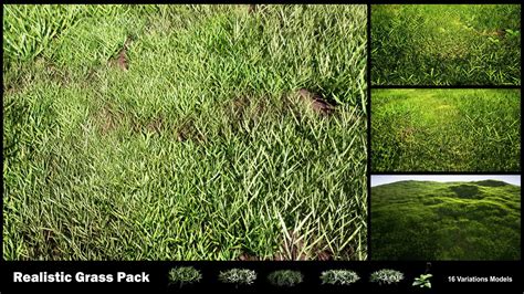 Realistic Grass Pack 01 In Environments Ue Marketplace