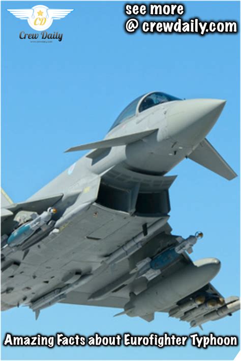 amazing facts  eurofighter typhoon artofit