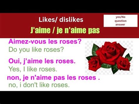 Likes And Dislikes In French J Aime Et Je N Aime Pas Yes No