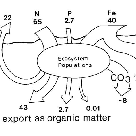 Atmospheric impact on the Euphotic zone. | Download Scientific Diagram