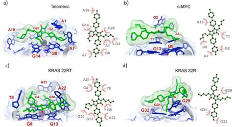 Final Snapshots Of Molecular Dynamic Simulations And 2d Diagram