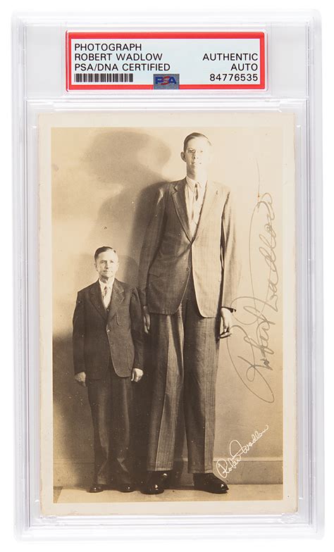 Robert Wadlow Timeline