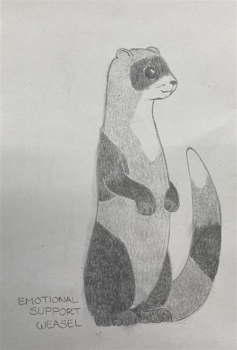 Emotional support weasel by SefiruTheMouse on DeviantArt
