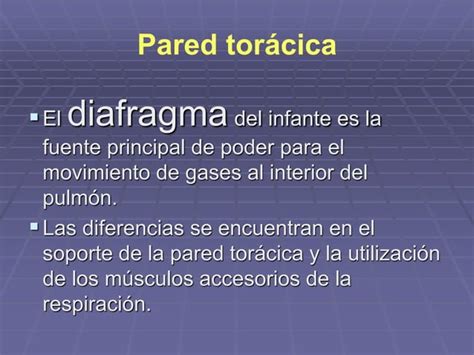 La Respiracion Y Termorregulacion En El Recien Nacido Ppt