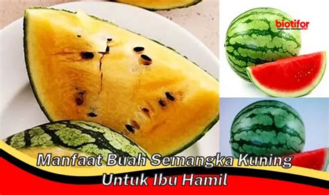 Temukan Manfaat Buah Semangka Kuning Untuk Ibu Hamil Yang Jarang