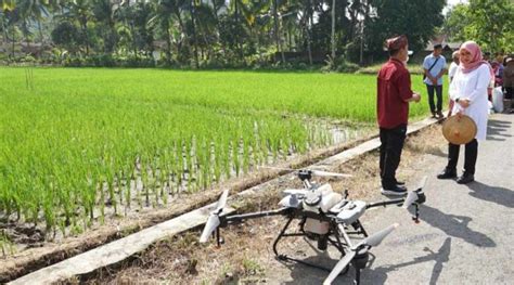 Dorong Smart Farming Petani Banyuwangi Semprot Pupuk Cair Pakai Drone