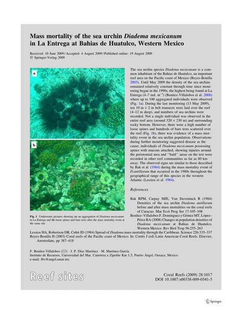 PDF Mass Mortality Of The Sea Urchin Diadema Mexicanum In La Entrega