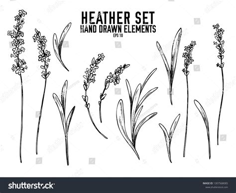 Celtic Heather Over 116 Royalty Free Licensable Stock Vectors And Vector