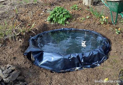 Building A Small Garden Pond For Wildlife Garden Living And Making