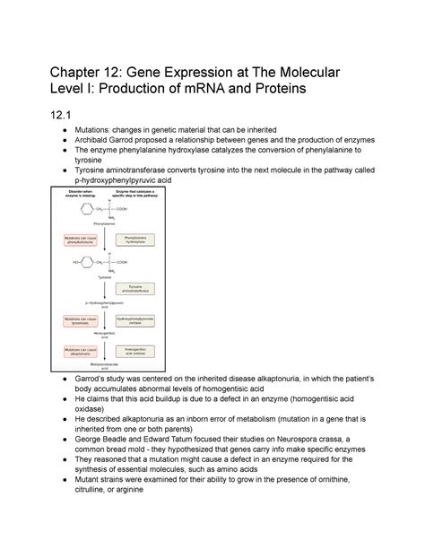 MCB 150 Quest 4 Notes Chapter 12 Gene Expression At The Molecular