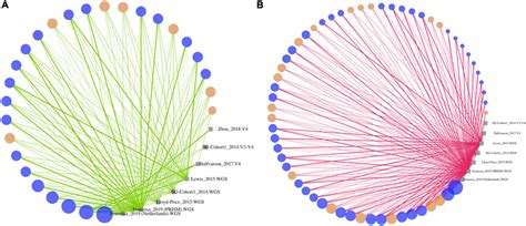 Frontiers Strain Level And Comprehensive Microbiome Analysis In Inflammatory Bowel Disease Via