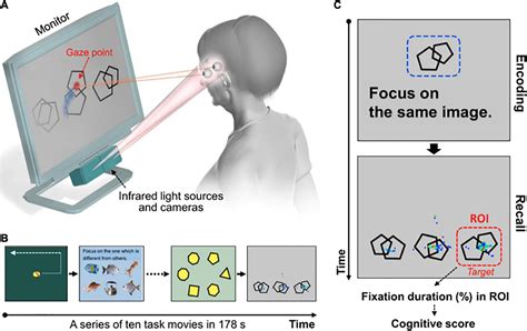 Frontiers Contribution Of Eye Tracking To Study Cognitive Impairments